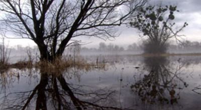 19_River_without_Front.jpg