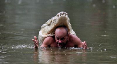 Touching the Dragon