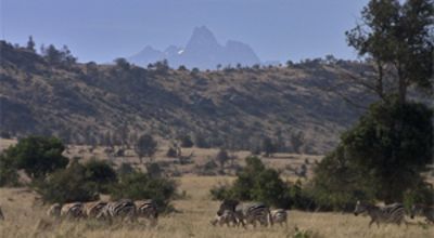 Laikipia,