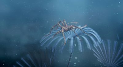 The Lost Devonian