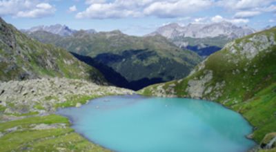 Faselfadsee