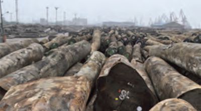 Timber transport 