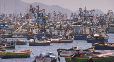 ?Fishing Armada