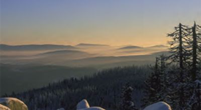 The Bavarian Forest