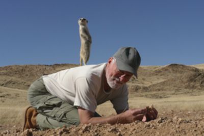 Dr. Dirk Blumenberg