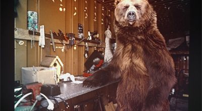 S_FN_Baer.jpg