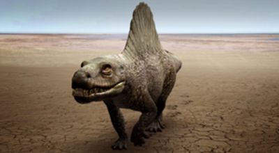 Dino