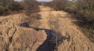 Movie still, the river