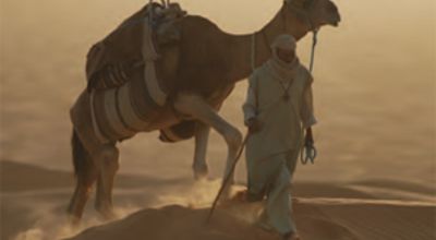 Saharaberber and camel