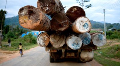 Timber transport