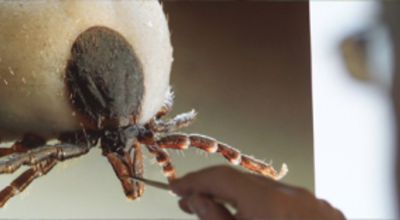 Movie still, tick 