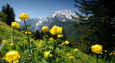 Alps of Berchtesgaden