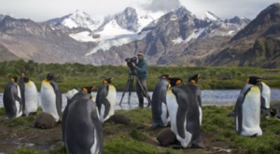 South Georgia Island 2011