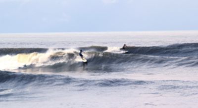 Surfer