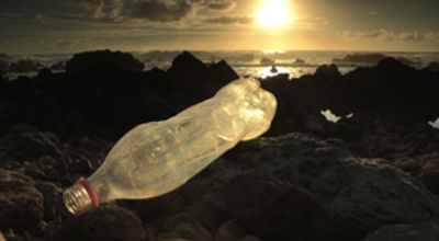 Bottle