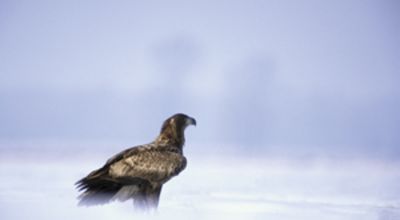 Photography from the film