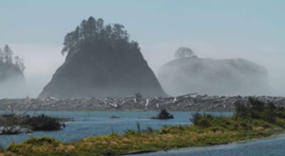 Salish Sea