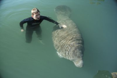 Julien Naar and manatee