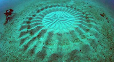 Mysterious Circles