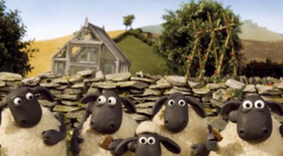 Sheep