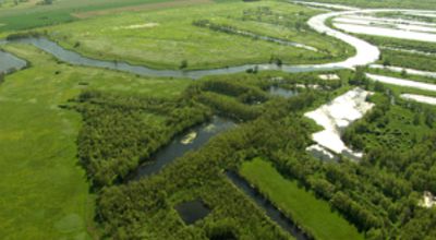 The Meadows of Western Pomerenia